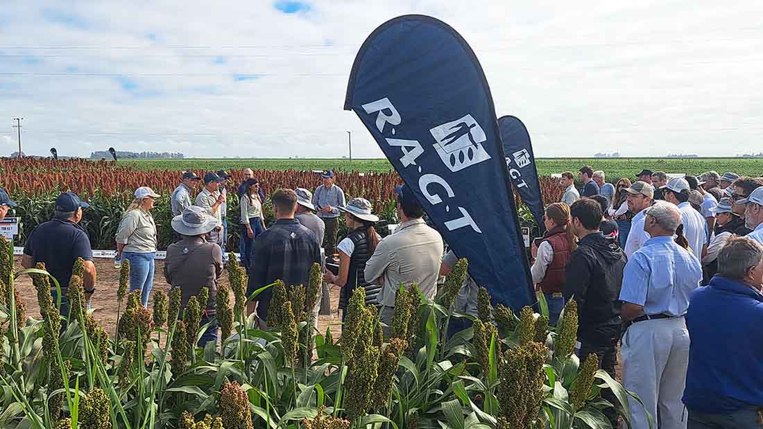 También en Argentina RAGT Seeds renueva su identidad de marca